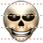 Skull icon