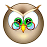 Owl icon