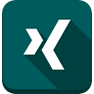 Xing icon