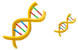 DNA icons