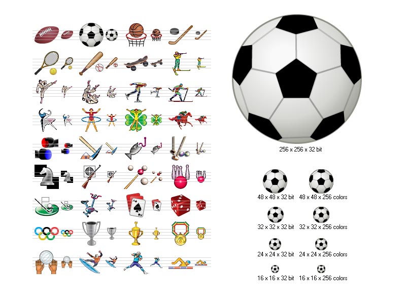 Screenshot of Sport Icons 2006.2