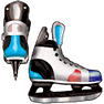 Skates icon