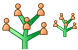 Genealogy icons