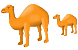 Camel icons