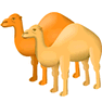 Camels icon