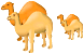 Camels icons