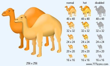Camels Icon Images