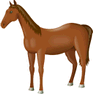 Horse icon