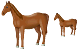 Horse icons