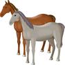 Horses icon
