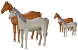 Horses icons