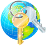 Internet Access icon