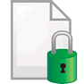 Lock Page V2 icon
