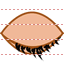 Hide icon