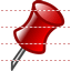 Pin icon